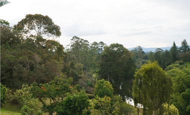 FINCA VENTA VIA SAN ANTONIO LA CEJA DE 14.050 M2