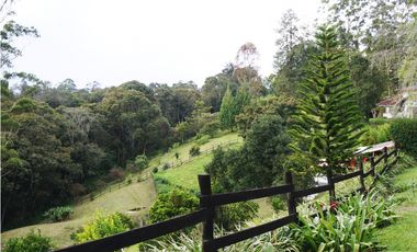 FINCA VENTA VIA SAN ANTONIO LA CEJA DE 14.050 M2