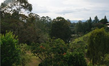 FINCA VENTA VIA SAN ANTONIO LA CEJA DE 14.050 M2