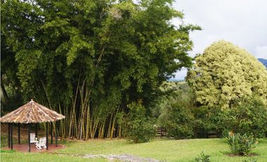 FINCA VENTA VIA SAN ANTONIO LA CEJA DE 14.050 M2