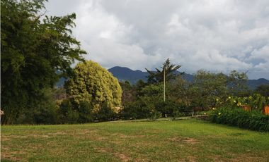 FINCA VENTA VIA SAN ANTONIO LA CEJA DE 14.050 M2