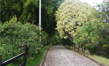 FINCA VENTA VIA SAN ANTONIO LA CEJA DE 14.050 M2