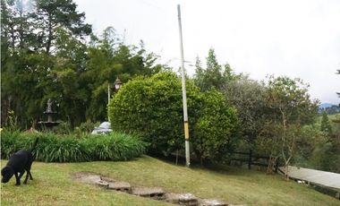 FINCA VENTA VIA SAN ANTONIO LA CEJA DE 14.050 M2