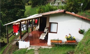 FINCA VENTA VIA SAN ANTONIO LA CEJA DE 14.050 M2