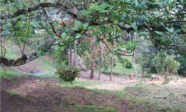 FINCA VENTA VIA SAN ANTONIO LA CEJA DE 14.050 M2