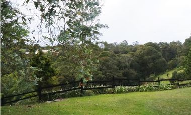 FINCA VENTA VIA SAN ANTONIO LA CEJA DE 14.050 M2