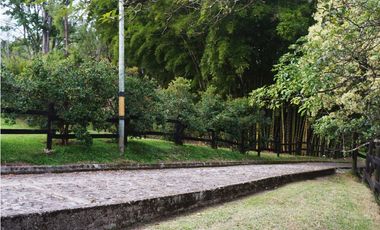 FINCA VENTA VIA SAN ANTONIO LA CEJA DE 14.050 M2