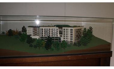 APARTA SUITE EN LLANOGRANDE