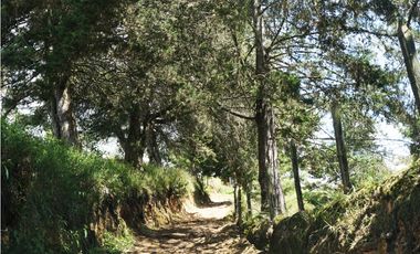 FINCA EN VENTA GUARNE  DE 60.000 M2