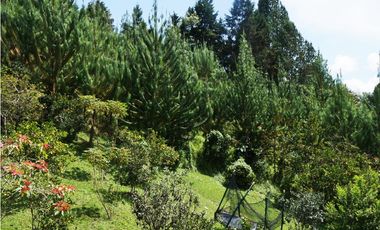 FINCA EN VENTA GUARNE  DE 60.000 M2