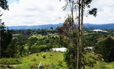 FINCA EN VENTA GUARNE  DE 60.000 M2