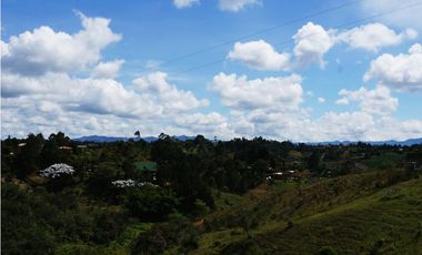 FINCA EN VENTA GUARNE  DE 60.000 M2