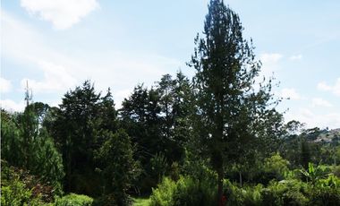 FINCA EN VENTA GUARNE  DE 60.000 M2