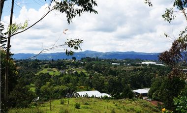 FINCA EN VENTA GUARNE  DE 60.000 M2