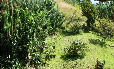 FINCA EN VENTA GUARNE  DE 60.000 M2