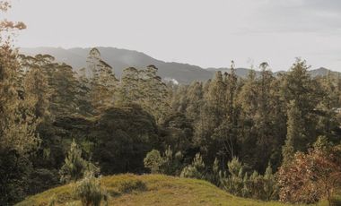 Venta Lote en Pacelación en El Retiro