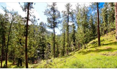 Venta Lote en Pacelación en El Retiro