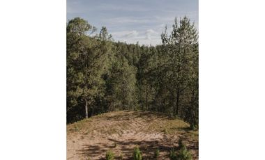 Venta Lote en Pacelación en El Retiro