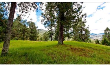 Venta Lote en Pacelación en El Retiro