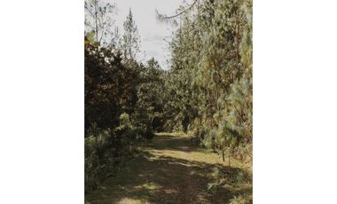 Venta Lote en Pacelación en El Retiro