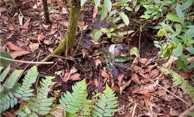 Lote Parcelacion Via Llanogrande La Ceja (Rionegro)