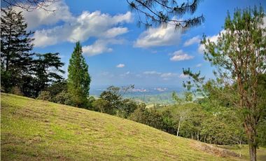 Lote Parcelacion Via Llanogrande La Ceja (Rionegro)
