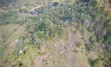 Lote Parcelacion Via Llanogrande La Ceja (Rionegro)