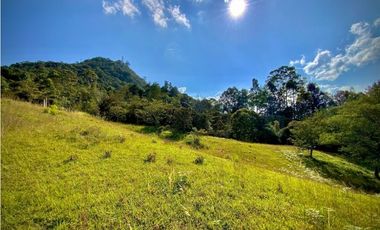 Lote Parcelacion Via Llanogrande La Ceja (Rionegro)