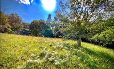 Lote Parcelacion Via Llanogrande La Ceja (Rionegro)