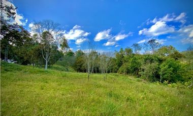 Lote Parcelacion Via Llanogrande La Ceja (Rionegro)
