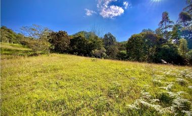Lote Parcelacion Via Llanogrande La Ceja (Rionegro)
