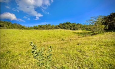 Lote Parcelacion Via Llanogrande La Ceja (Rionegro)