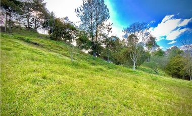 Lote Parcelacion Via Llanogrande La Ceja (Rionegro)