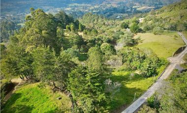 Lote Parcelacion Via Llanogrande La Ceja (Rionegro)