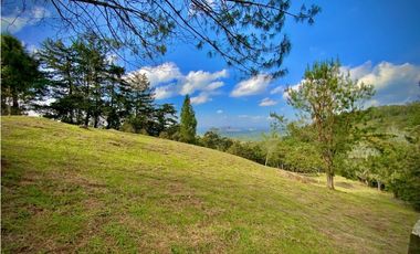 Lote Parcelacion Via Llanogrande La Ceja (Rionegro)