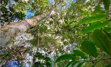 Lote Parcelacion Via Llanogrande La Ceja (Rionegro)