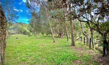 Lote Parcelacion Via Llanogrande La Ceja (Rionegro)