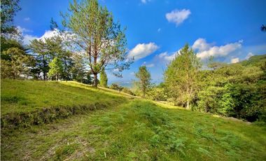 Lote Parcelacion Via Llanogrande La Ceja (Rionegro)