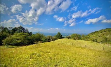 Lote Parcelacion Via Llanogrande La Ceja (Rionegro)