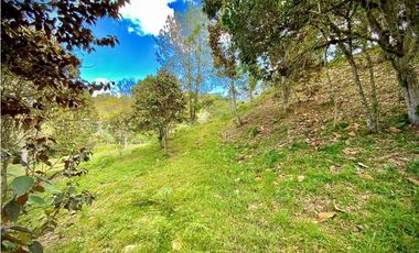 Lote Parcelacion Via Llanogrande La Ceja (Rionegro)