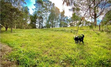 Lote Parcelacion Via Llanogrande La Ceja (Rionegro)