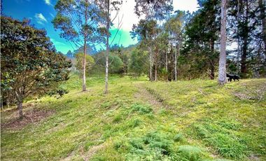 Lote Parcelacion Via Llanogrande La Ceja (Rionegro)