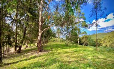 Lote Parcelacion Via Llanogrande La Ceja (Rionegro)