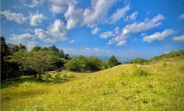 Lote Parcelacion Via Llanogrande La Ceja (Rionegro)