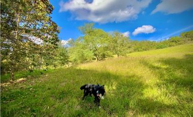 Lote Parcelacion Via Llanogrande La Ceja (Rionegro)