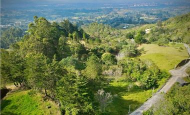 Lote Parcelacion Via Llanogrande La Ceja (Rionegro)