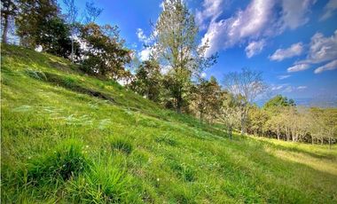 Lote Parcelacion Via Llanogrande La Ceja (Rionegro)