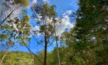 Lote Parcelacion Via Llanogrande La Ceja (Rionegro)