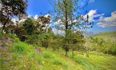 Lote Parcelacion Via Llanogrande La Ceja (Rionegro)