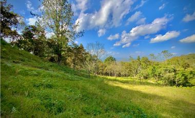 Lote Parcelacion Via Llanogrande La Ceja (Rionegro)